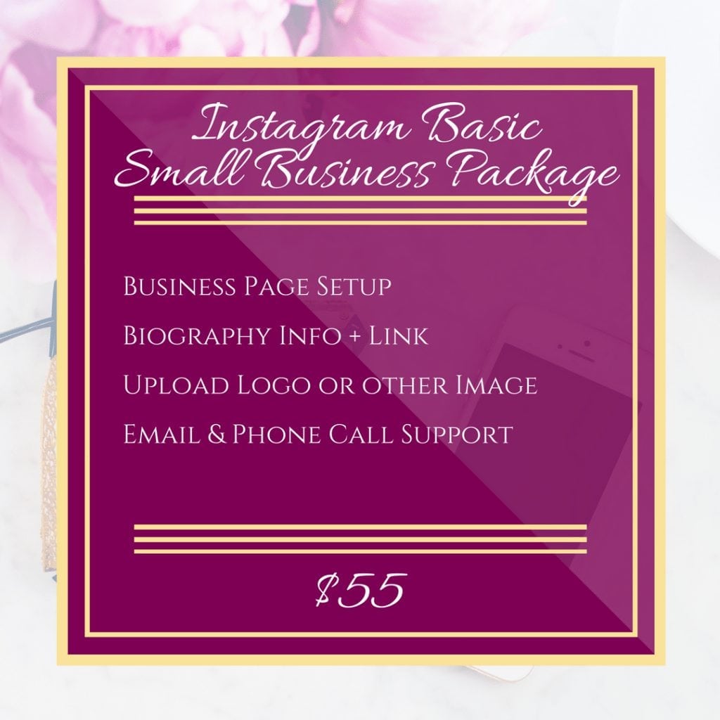 Instagram Business Setup